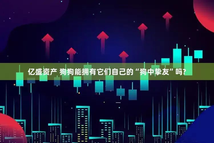 亿盛资产 狗狗能拥有它们自己的“狗中挚友”吗?